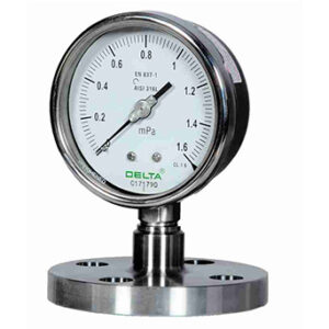 Diaphragm Seal Direct Flanged Flushed Type